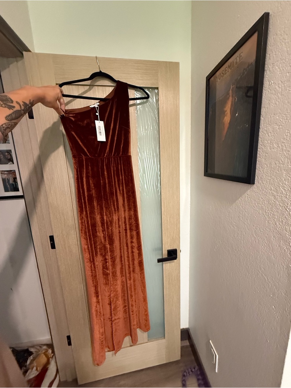 Baltic Born One-Shoulder Velvet Maxi Dress in Rust Orange(Cinnamon)